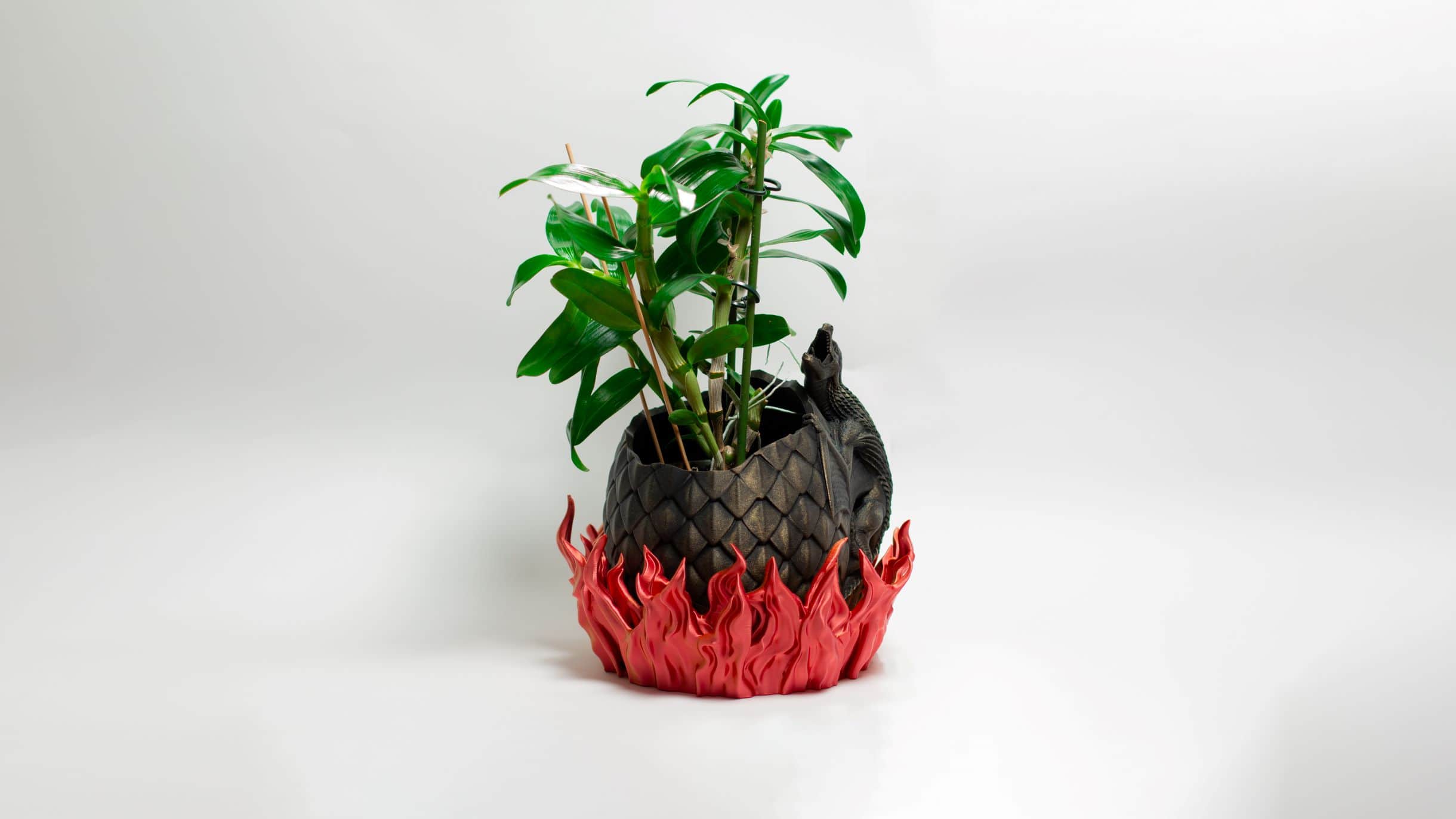 Puķu pods - Pūķis liesmā